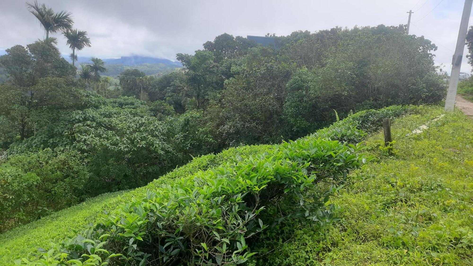 Paradise Meadows Vagamon Exterior photo